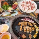 흥부익스프레스 이미지