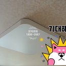 대원전업사
