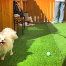 유니독스 이미지