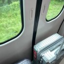 카모네일 | 베트남 나트랑 여행 후기