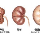 넥스펫동물병원 네이버블로그