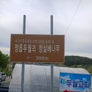 칠보미용실 이미지