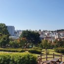 신장근린공원 주변 이미지