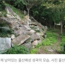 학성상회 네이버블로그