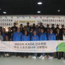 부산스포츠