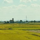 경지양돈 이미지