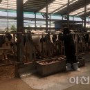 달무리농장 이미지