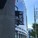 춘천 편집샵 &amp; 그로서리 스토어 남춘천역 근처 퇴계동 카페 이티씨(etc)