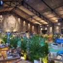 소중한 댕 이미지