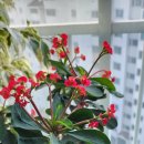 4월4일 서울노인복지센터 봉사일입니다 이미지