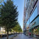 플라워여성외과의원 이미지