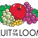 Fruit of the Loom 이미지