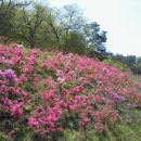 입점리고분전시관 이미지