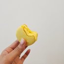 수아카롱 이미지