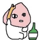일산 크로스핏 l 크로스핏 다위드 토요일 드랍인 후기 (역도 맛집, 운동 진심 코치님 최고👍)