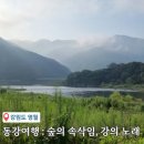 강원도 영월 가볼만한곳 동강 여행 : 숲의 속삭임과 강의 노래