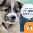 우리동물병원(산업) 이미지