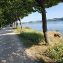 미사리공인중개사사무소 이미지