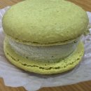 안녕 마카롱 | [의정부 민락동 디저트] 호토리당 가오픈 내돈내산 후기 | 마카롱 맛집 추천 + 재방문후기