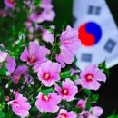 국립아시아문화전당 개관기념 시민축제 1 - 뮤지컬컨버전스쇼 | 🤩📚 매번 창의적이고 실험적인 전시가 열리는데ACC 국립아시아문화전당