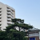 CU 홍제햇살점 | 스위스그랜드호텔 디럭스 더블 룸 마운틴뷰 서울 가성비 커플 호캉스
