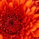 서울클럽 이미지