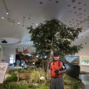 전곡역 선사 박물관에서 이미지