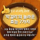 알고 마시면 보약 막걸리의 놀라운 효능 7가지 이미지