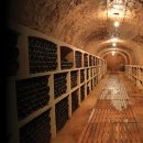 (주)투유코리아 이미지