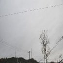 상선고택 이미지