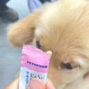 (주)펫팜 | 펫팜 페스룸(펫스룸) 퓨어 튜나 스틱 참치 &amp; 닭가슴살 후기