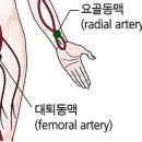 용인대 동양합기도 네이버블로그