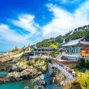 인행정사사무소 이미지