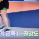 돌곶이효자정형외과의원 | 엄지의제왕 655회 미리보기 골다공증 탈출법 러킹운동 버드도그 운동법 뼈건강 돕는 MBP 효능 방송시간...