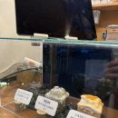 소답동170 | 소답동 안에 작은 숲속 예쁜 디저트 카페[엣지우드]