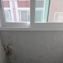 범우디자인 | 시흥 탄성코트 빌라 베란다 페인트 들뜸 원인 곰팡이 제거 후기