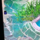 트엘 | 해가 될래말래