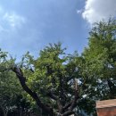 수원주유소 이미지