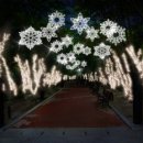 대구역네거리 교통섬 이미지