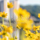 달성보 녹색길 | 안동 여행지 볼거리, 낙동강 자전거길 🚲 경북 일주일 살기 워케이션 촌캉스 숙소