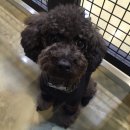 포포앤미루 강동점 이미지