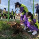 경안여자중학교 이미지