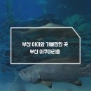 아이와 가볼만한곳 부산 아쿠아리움 티켓 가격 할인