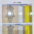 대구동성로렌즈 <스위스플러스안경> 일회용렌즈 후기