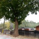 익산토성 이미지