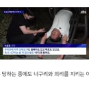 서울 도심에 너구리 출몰했을 때 서울사람들 레전드 인터뷰 이미지