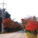 조각공원 이미지