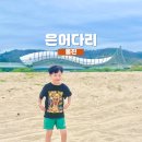 왕피천 은어길 | 경북 울진 가볼만한 곳 은어다리 방문 후기!