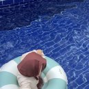 수피아라 B 이미지