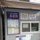오동도 사무실 옆 | [여수여행] 여수 가볼만 한 곳 오동도, 주차, 동백열차 시간표